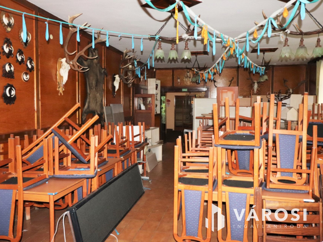 Szabadkígyósi kastély mellett kiadó panzió étterem