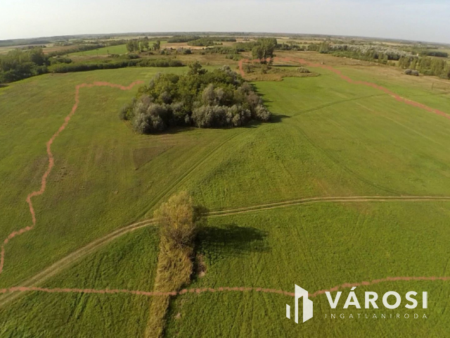 15 hektáros birtok Szegedhez közel