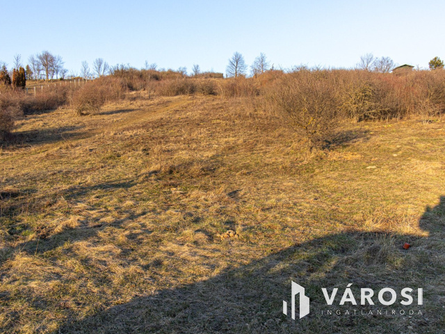 Budakalászon 2960 m2-es telek eladó!