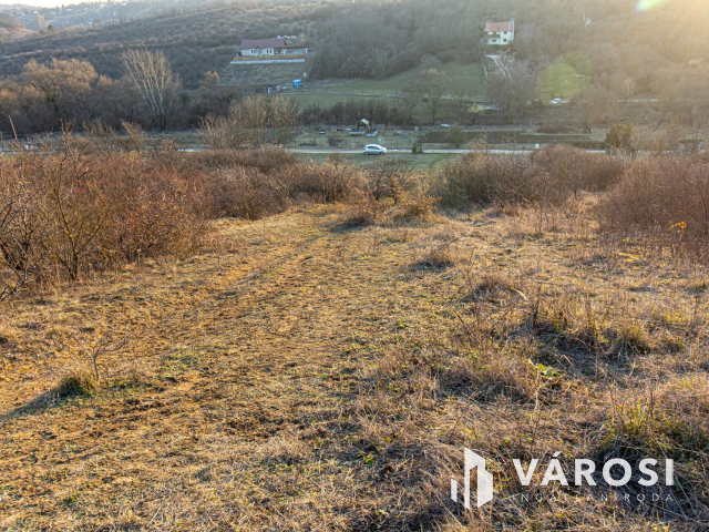 Budakalászon 2960 m2-es telek eladó!