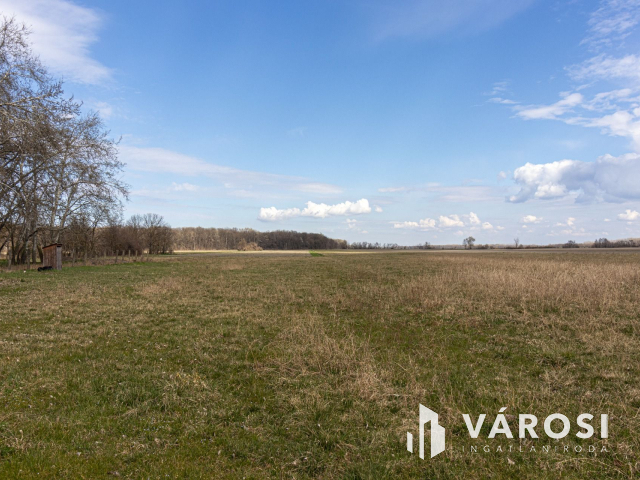 Kiskunlacházán 45000nm gazdálkodásra alkalmas terület!