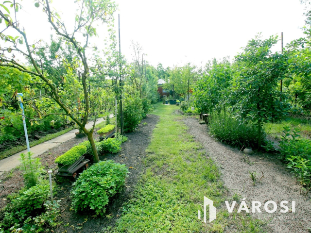 Édenkert Szeged népszerű üdülő övezetében