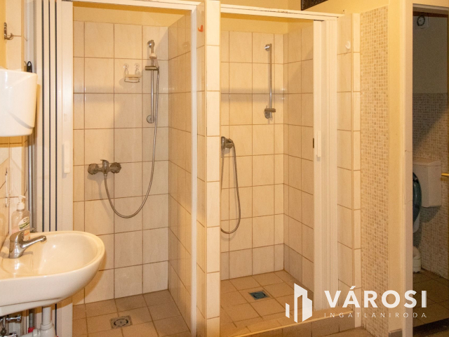 Korszerű ipari ingatlan napelemmel, városközpontban!