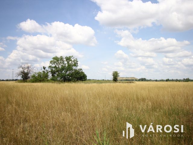 Nomád állattartásra alkalmas