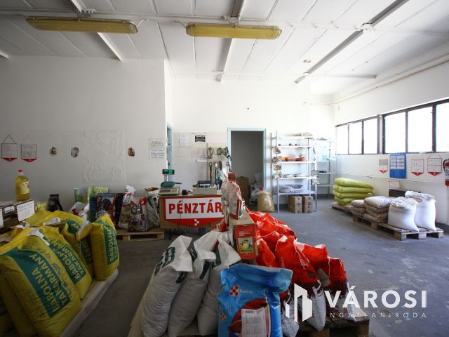 Kisteleken, központi üzlethelyiséget kínálok