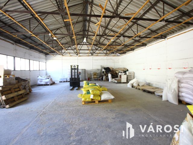 Kisteleken, központi üzlethelyiséget kínálok