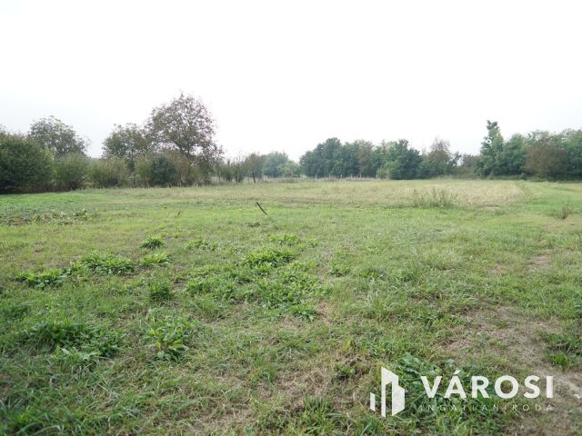 Jó adottságú eladó telephely Gyékényesen!