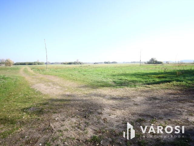 Balástyai tanyáknál