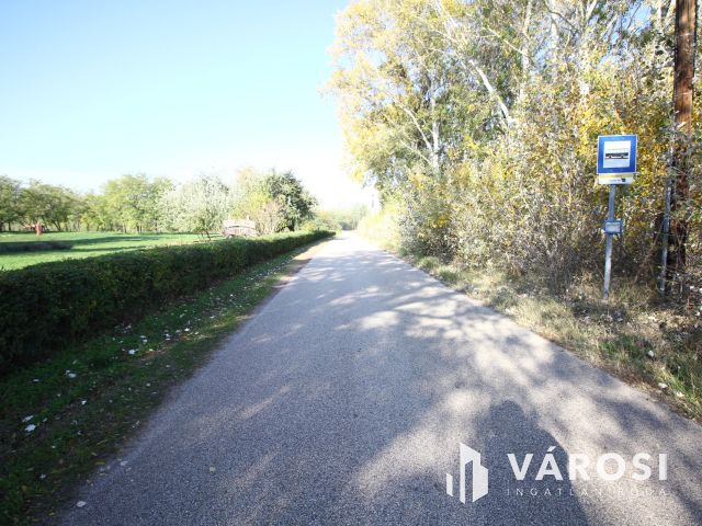 Balástyai tanyáknál