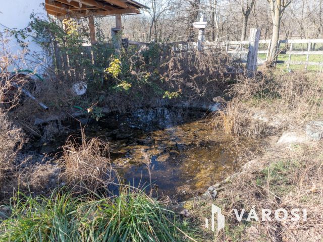 Lovastanya erdővel a szélén