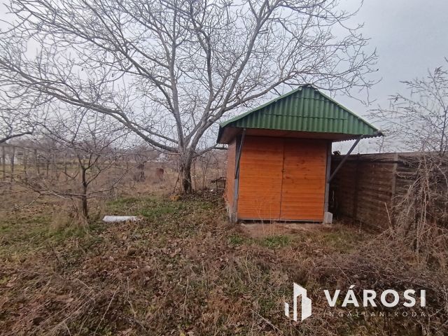 Eladó telek Dömsödön Pest megyében!