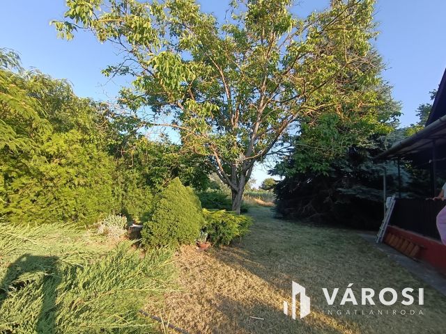 Vizparthoz közeli nyaraló eladó Dömsödön Pest megyében!