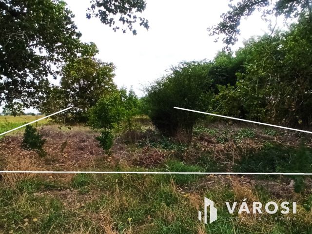 Befektetési telek Szigetszentmiklóson!