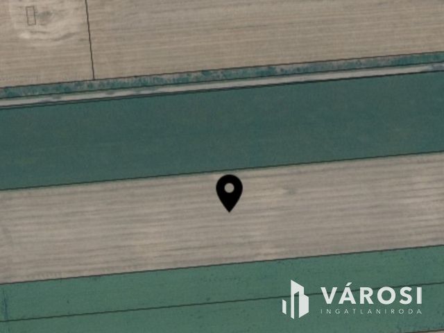 Eladó szántóföld Orosháza közelében