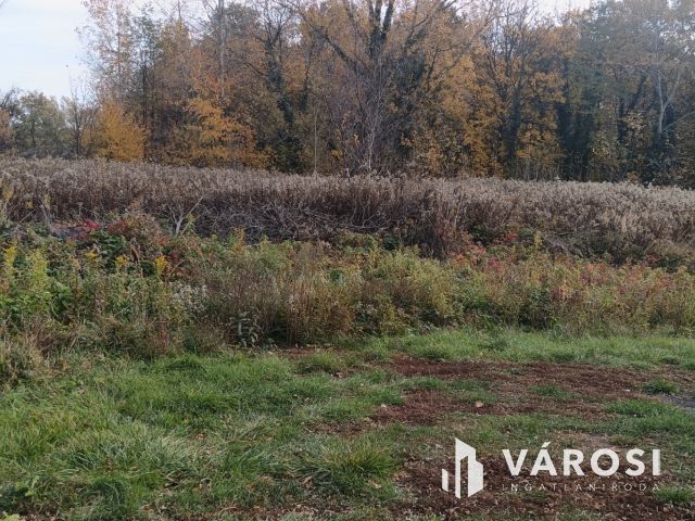 Eladó belterületi telek Dömsödön Pest megyében!
