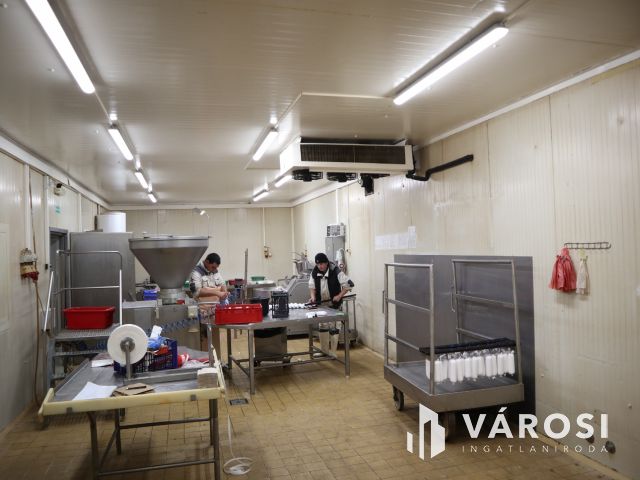 Működő húsfeldolgozó üzem, bővítési lehetőséggel!