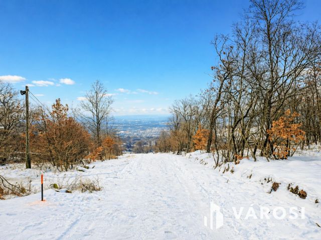Panorámás telek eladó Szentendrén, Pismány tetején