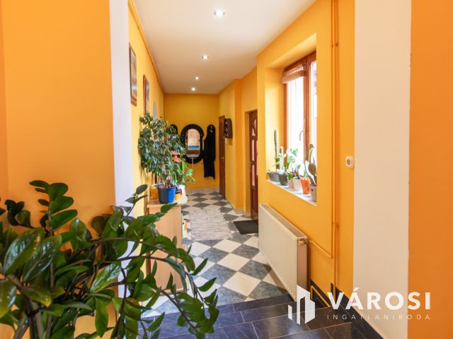 Csanaki családi ház eladó- kiváló adottságú telekkel