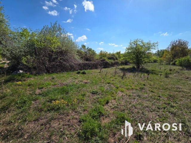 Eladó ipari ingatlan Szigetszentmiklóson