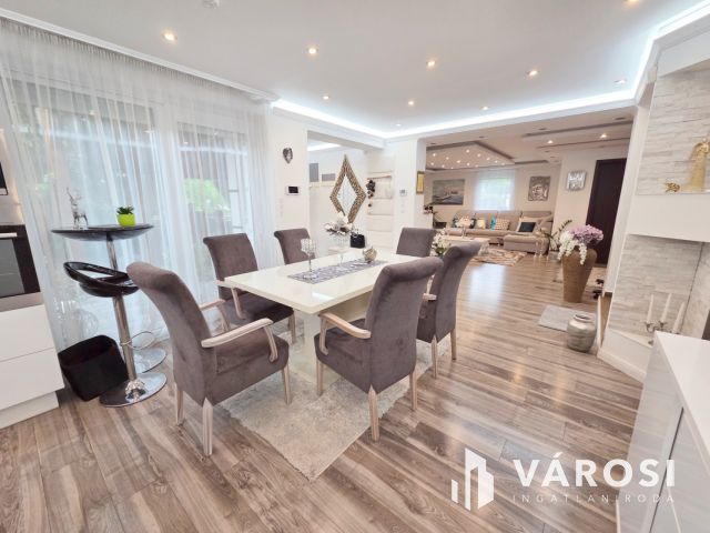 Vízparti Luxusvilla Szigethalmon